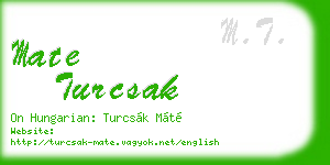 mate turcsak business card